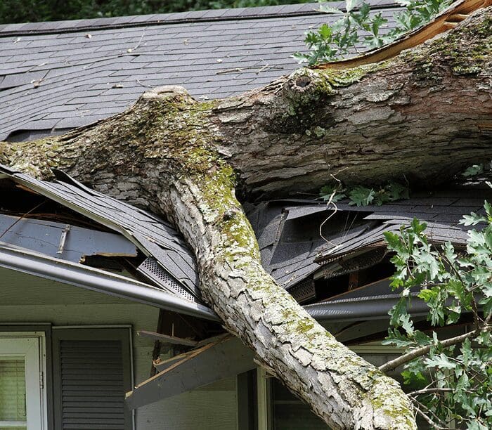 Fallen tree on house roof damage.